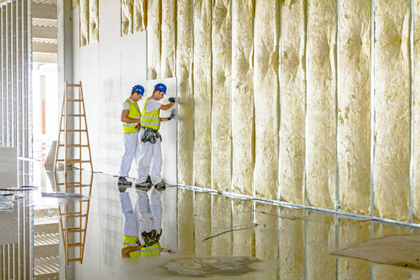 Best Commercial Insulation in Aromas, CA